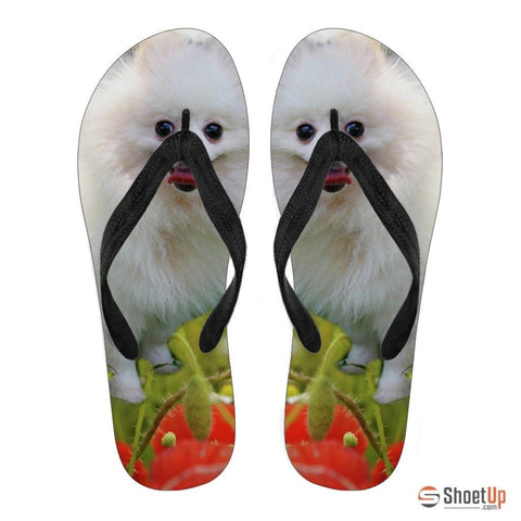 Pomeranian Flip Flops For Men