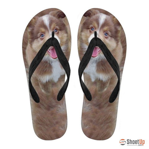 Miniature Australian Shepherd Puppy Flip Flops For Women