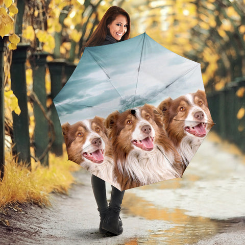 Lovely Australian Shepherd Print Umbrellas