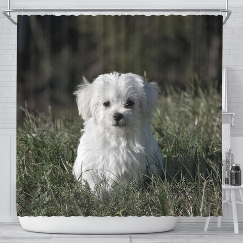 Cute Maltese Dog Print Shower Curtains