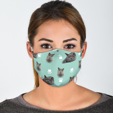 British Shorthair Cat Patterns Print Face Mask