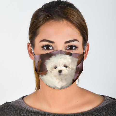 Lovely Maltese Print Face Mask