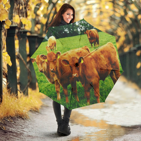 Cute North Devon cattle (Cow) Print Umbrellas