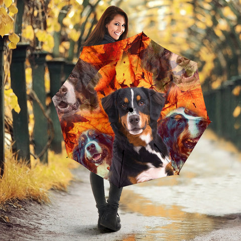 Bernese Mountain Dog Print Umbrellas