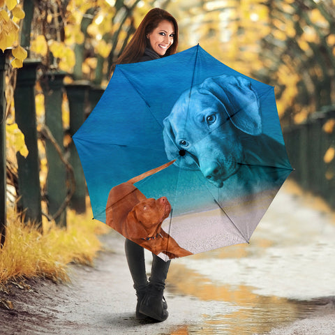 Lovely Vizsla Print Umbrellas- Limited Edition