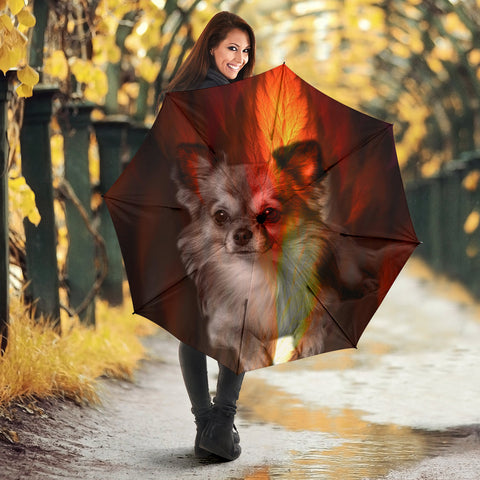 Chihuahua Print Umbrellas- Limited Edition