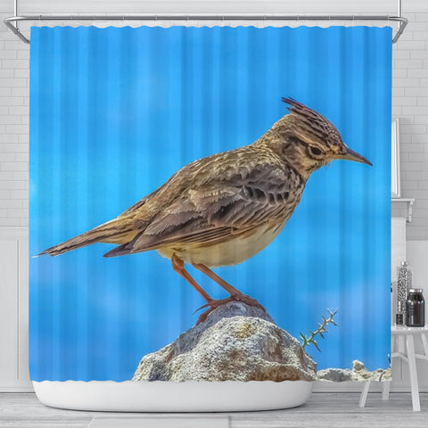 Lark Bird Print Shower Curtains