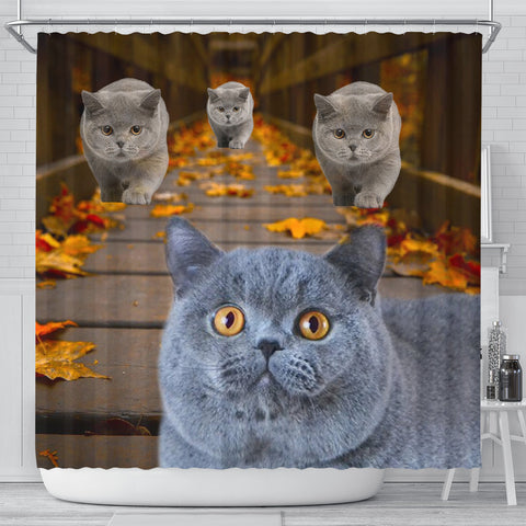 Amazing British Shorthair Cats Shower Curtain