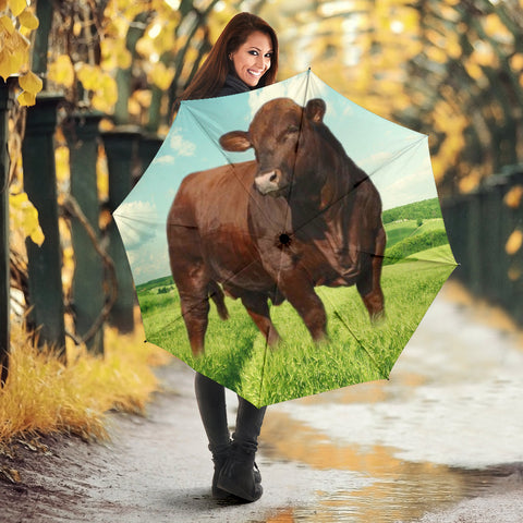 Beefmaster Cattle (Cow) Print Umbrellas