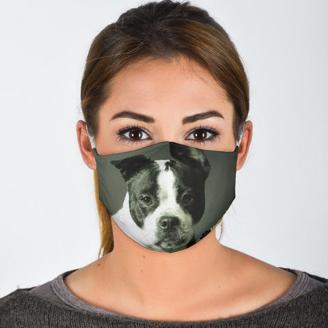 Boston Terrier Print Face Mask- Limited Edition