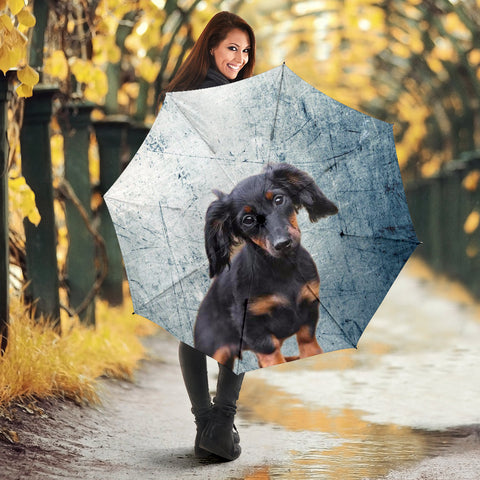 Cute Dachshund Print Umbrellas