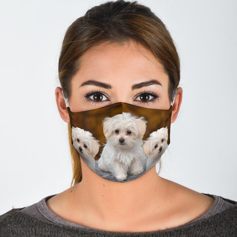 Maltese Print Face Mask