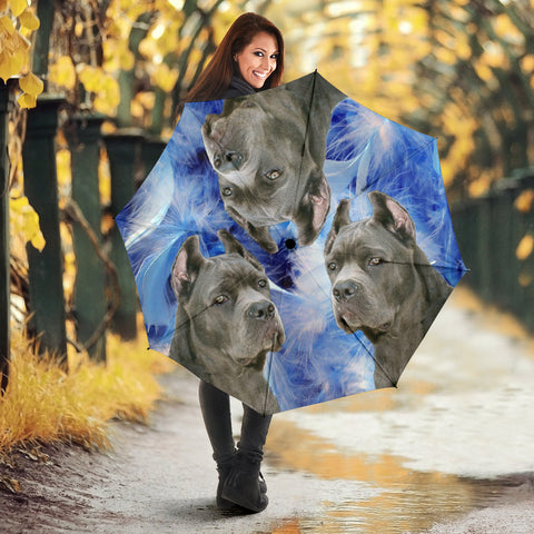 Cane Corso Print Umbrellas- Limited Edition