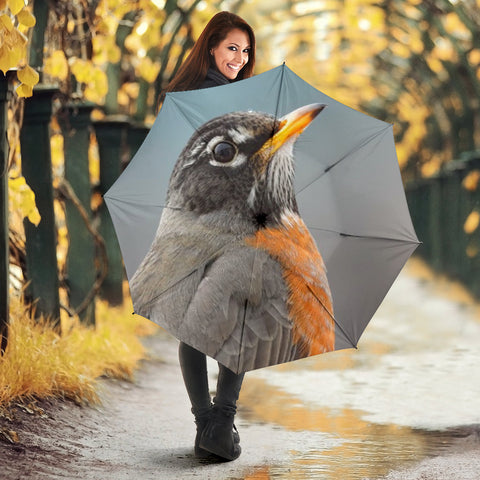 American Robin Bird Print Umbrellas