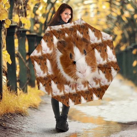 Abyssinian guinea Pig Print Umbrellas