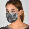 Amazing Chartreux Cat Print Face Mask