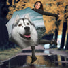 Laughing Alaskan Malamute Print Umbrellas