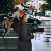 Holstein Friesian cattle (Cow) in Lots Print Umbrellas