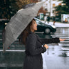 Welsh Black cattle (Cow) Print Umbrellas