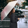 Cute Vizsla Print Umbrellas