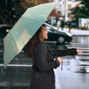 Sussex cattle (Cow) Print Umbrellas