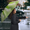 Quaker Parrots Print Umbrellas