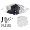Affenpinscher Print Face Mask