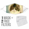 Cute Maine Coon Cat Print Face Mask