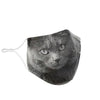 Amazing Chartreux Cat Print Face Mask