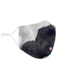 Affenpinscher Print Face Mask